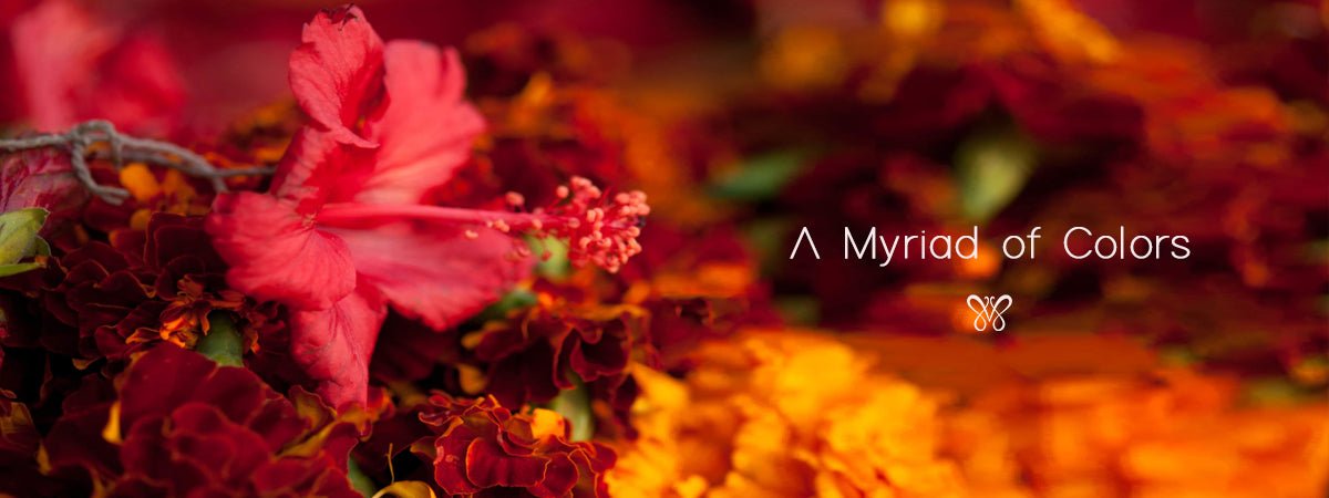 A Myriad of Colours