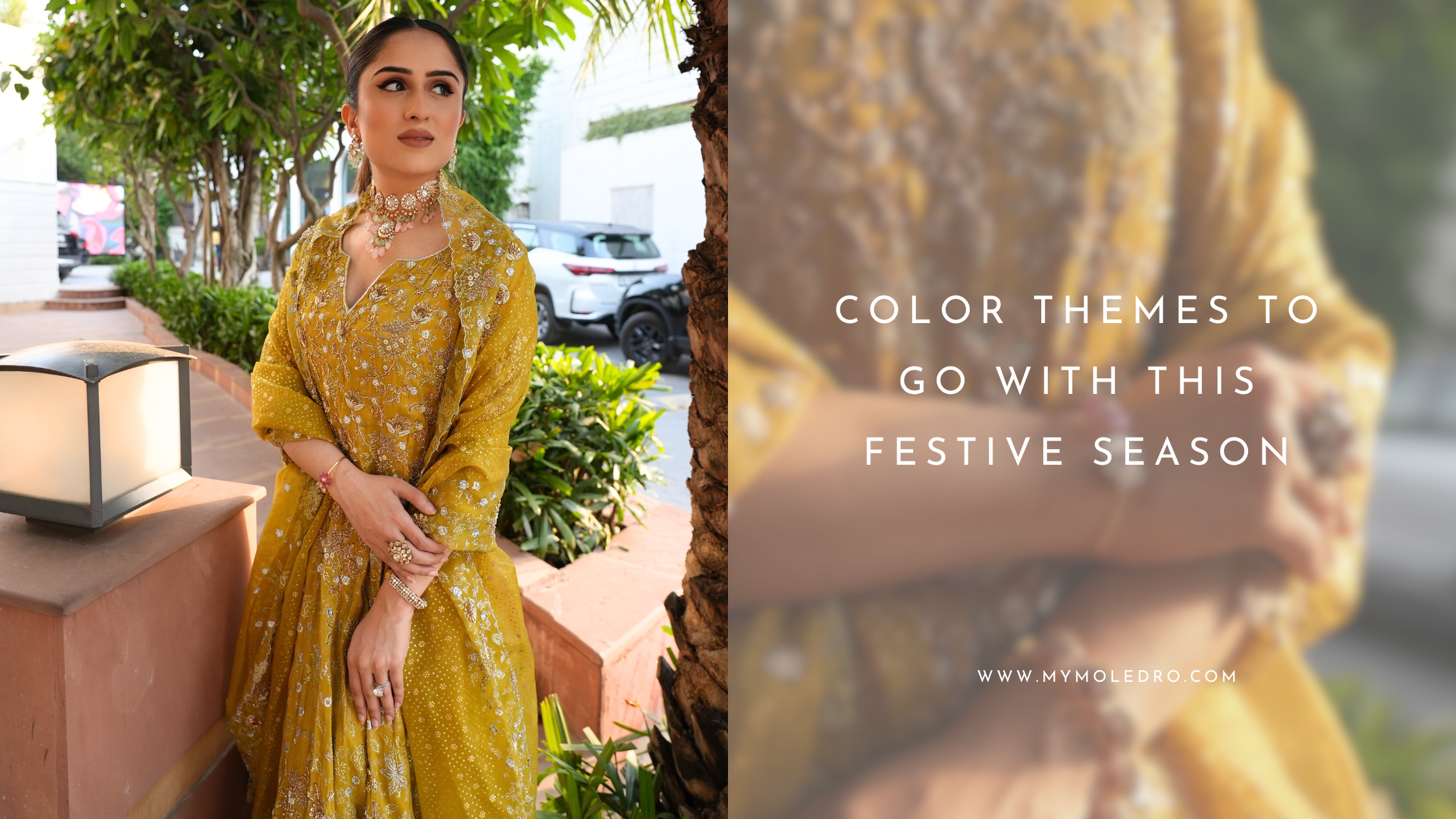 Color themes to go with this festive season