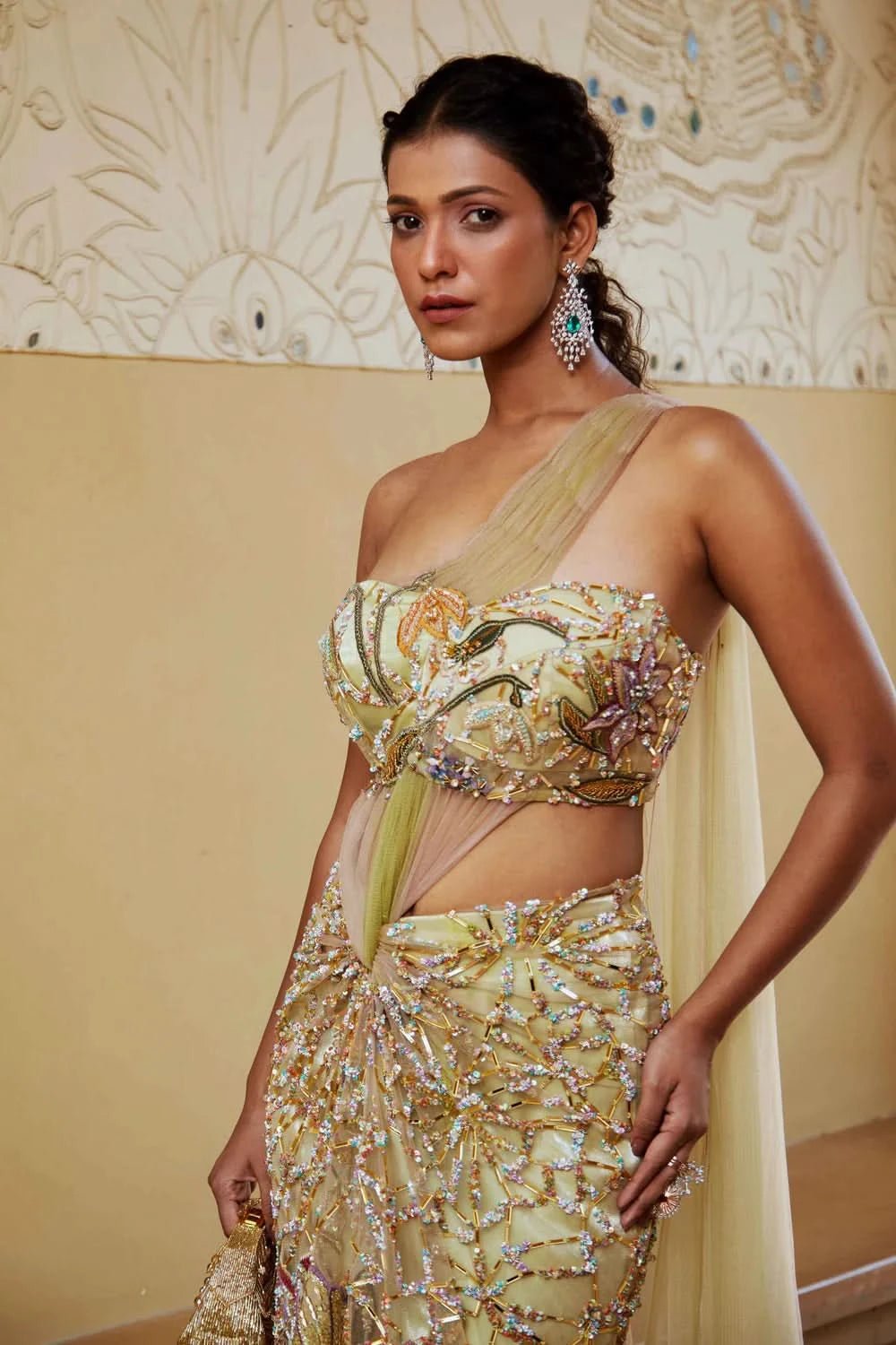 Designer Ritvi Full Sleeves Saree