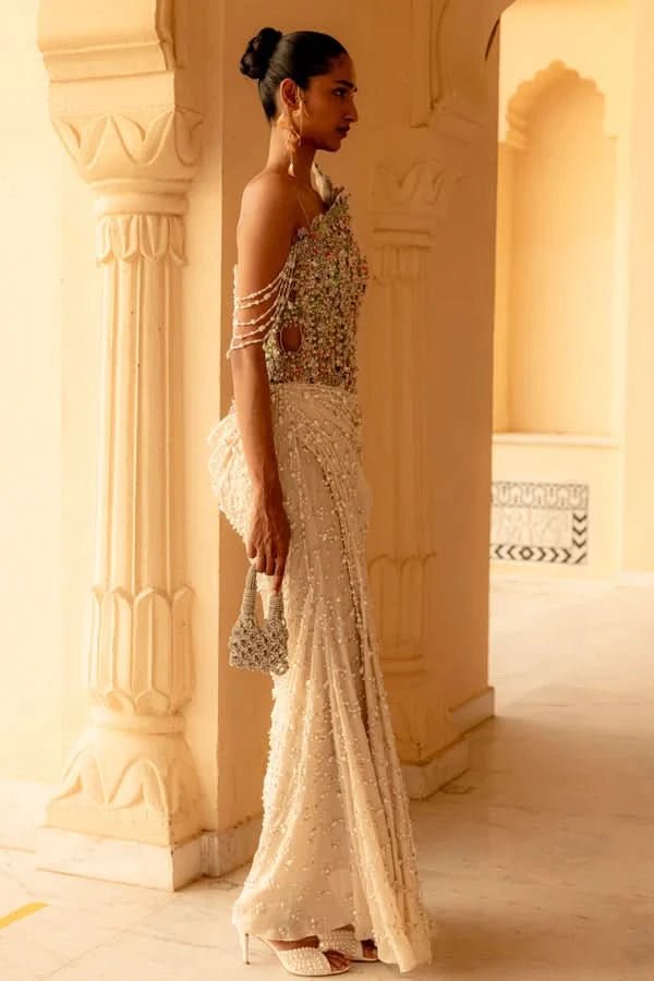 Meliea Draped Saree Gown Back Design