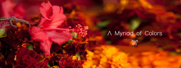 A Myriad of Colours