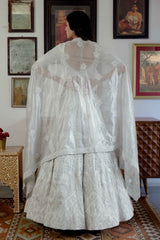Aab Lehenga