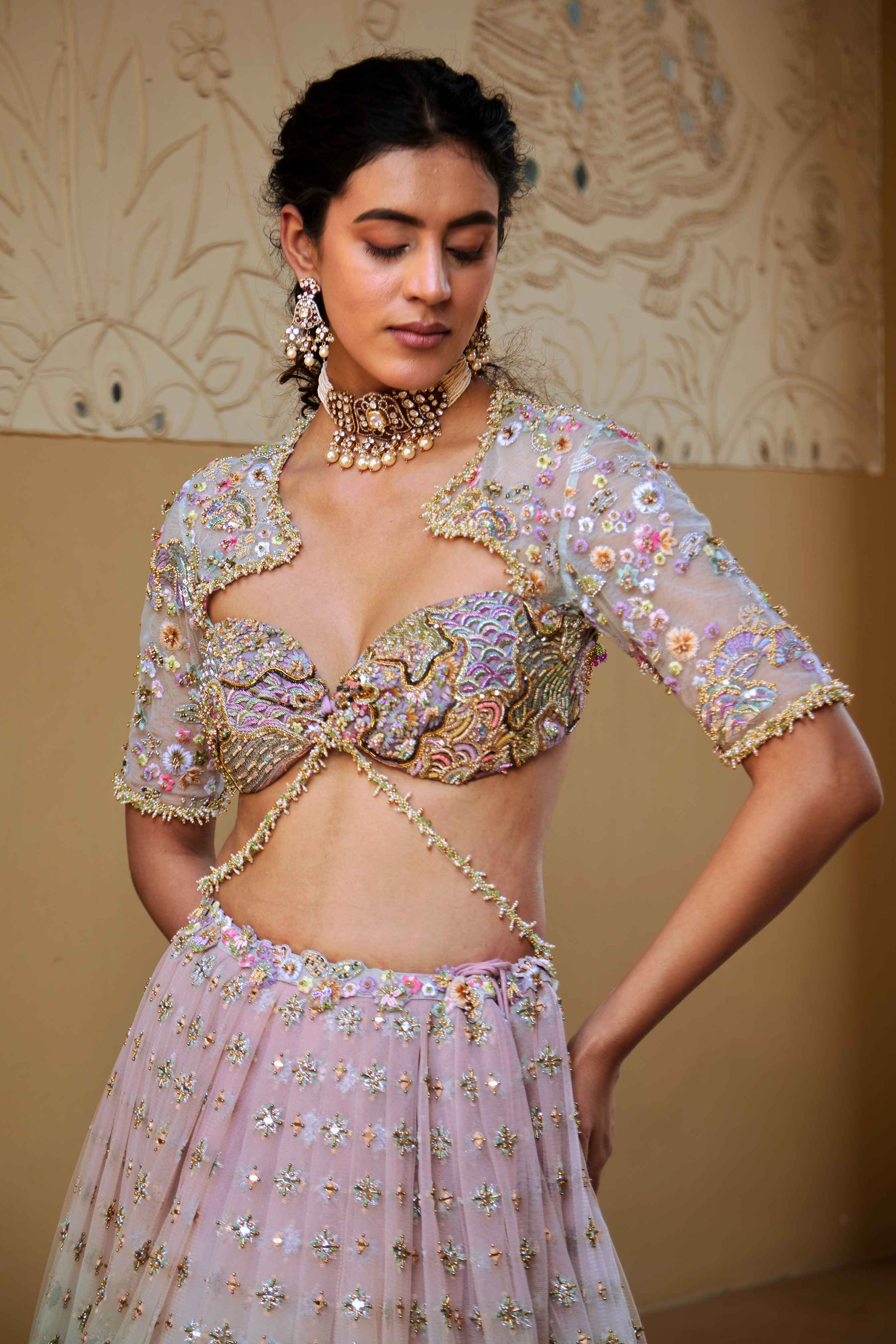 Raga Butterfly Net Lehenga Designs with Blouse