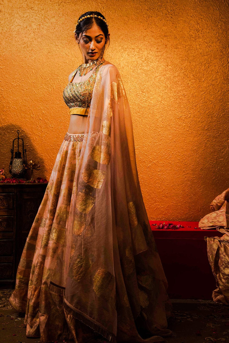 Organza dupatta with fringed lace adding a stylish touch to the Hya Lehenga Set.