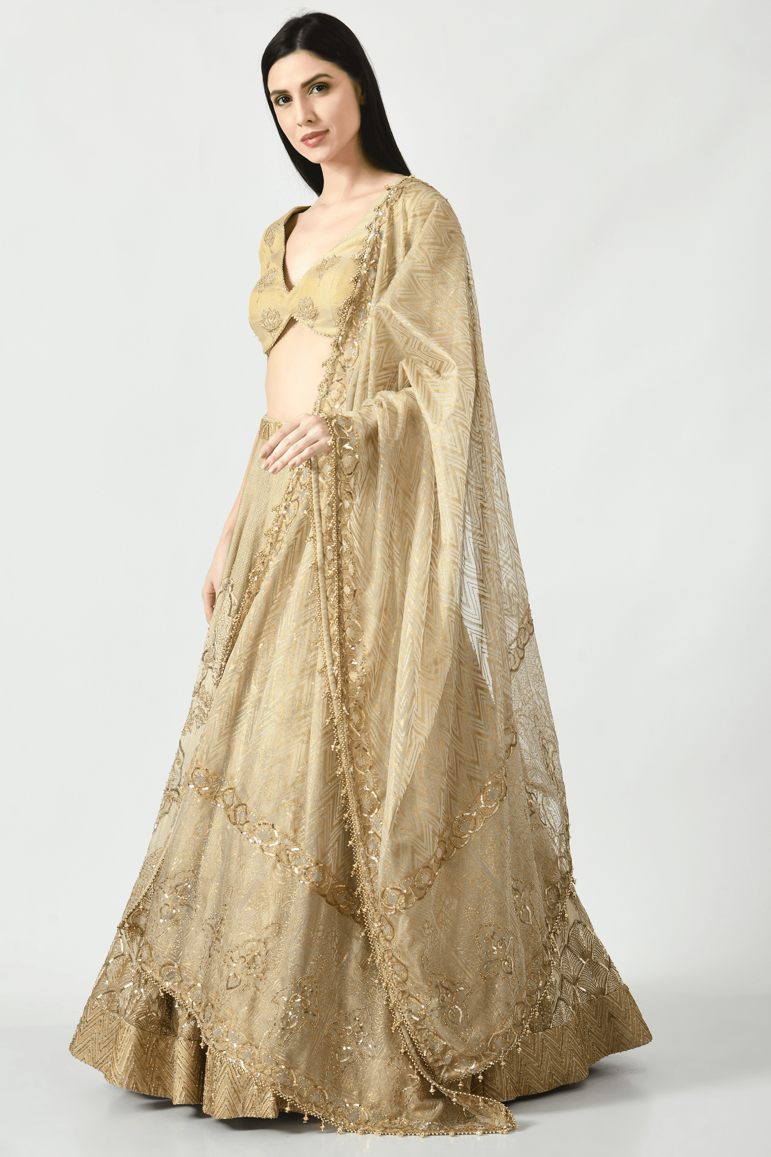 Layla Lehenga Set with Peacock Designs